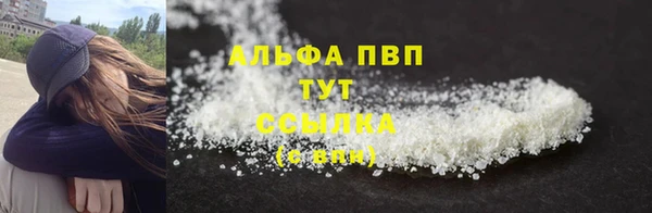 ECSTASY Богородицк